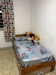 Blk 315 Clementi Meadows (Clementi), HDB 4 Rooms #582444211